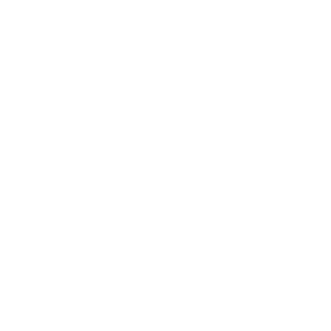 AAdvantage Insurance Group, LLC - Logo Icon White